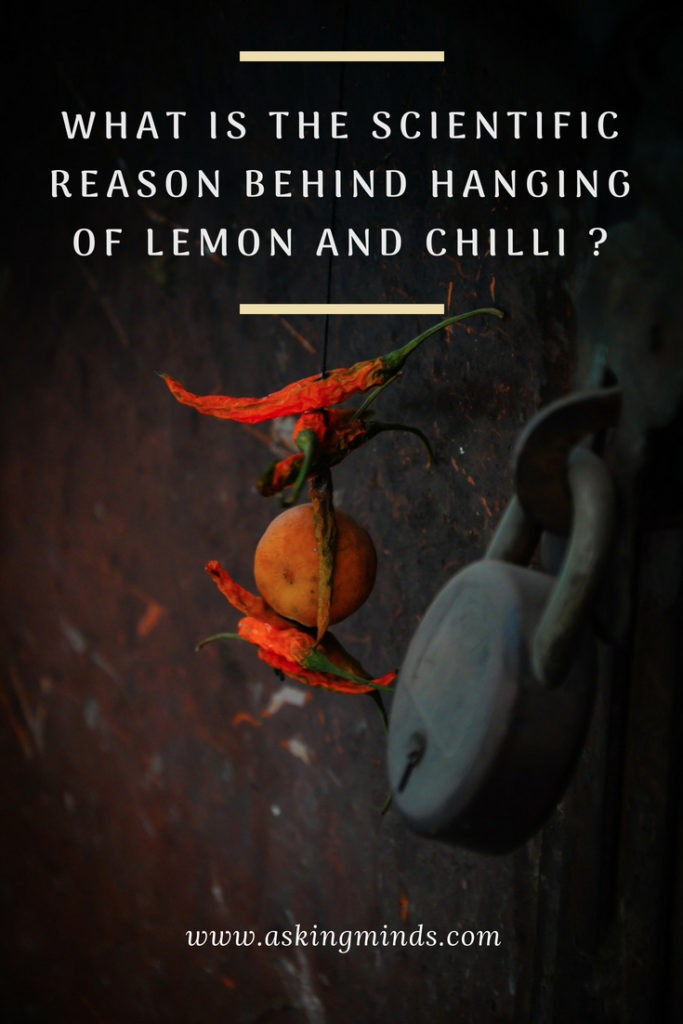 What is the scientific reason behind hanging lemon and chilli? - science and technology | science facts | science education | innovative ideas | know the truth | scientific reasons | superstitions | thinking of people | blog to follow | blog topics | blogging | #science #truth
