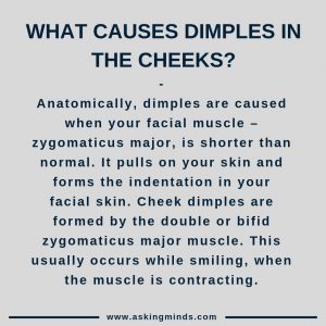 What causes dimples in the cheeks? - dimples facts | did you know | general knowledge facts | facts you didn't know | unbelievable facts | facts mind blowing | fascinating facts | short answers | cool facts | amazing facts | interesting facts | useful websites | did you know | asking minds | dimple girl | dimples on cheeks - #didyouknow #facts #dimples #knowledge #interesting